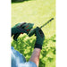 Bosch DIY | Isio Grass/Shrub Shears Set (Online Only) - BPM Toolcraft