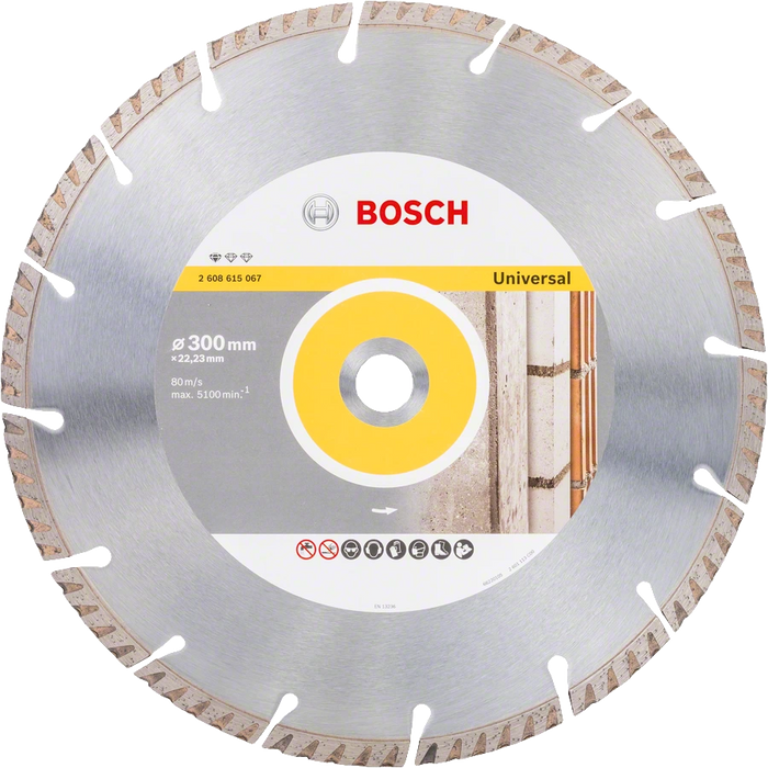 Bosch Professional | Cutting Disc Std for Univ. 300X22,23X3,3mm Segmented