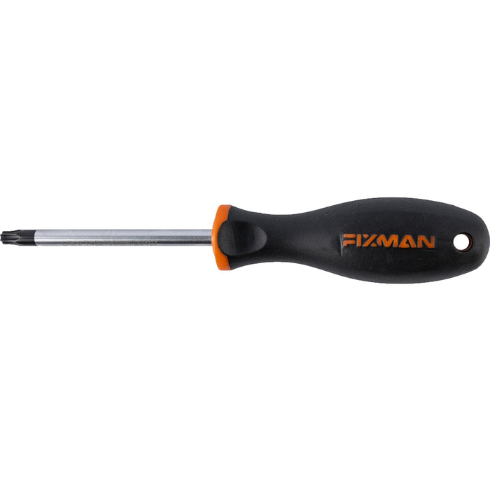 Fixman | Screwdriver Torx T40 6X100mm CrV Ergonomic Handle