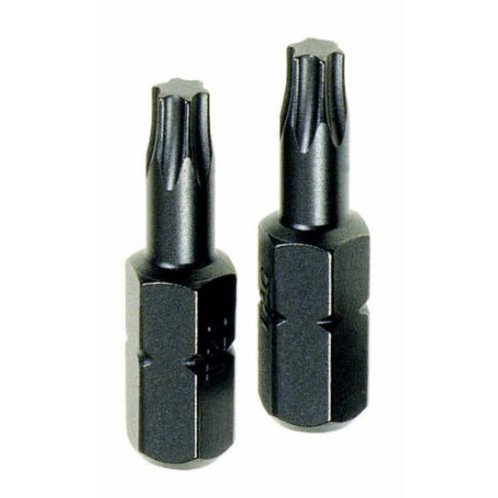 PG mini Professional | Torx Tx25 Insert Bits 2 Pc