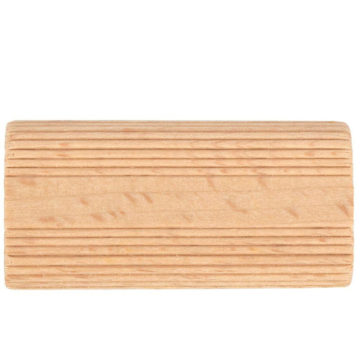 Pro-Tech | Domino Tenon 10x50mm 100Pc Jar Beech Wood