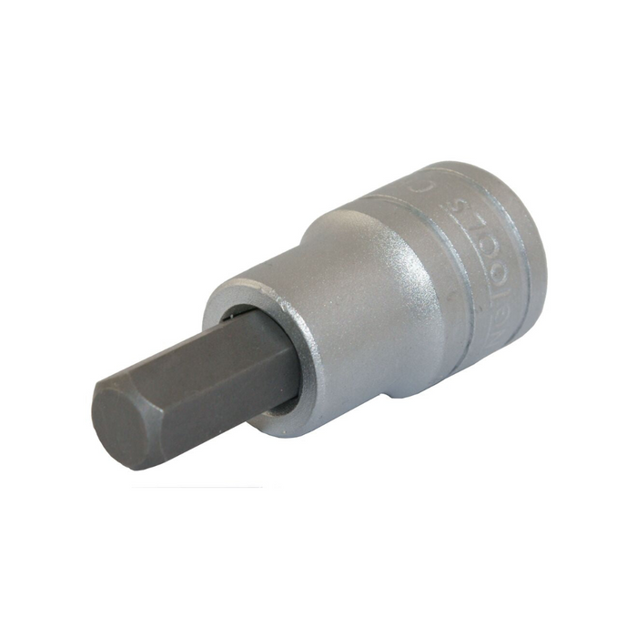 Teng Tools | Socket 1/2" Hex Bit Metric 19mm